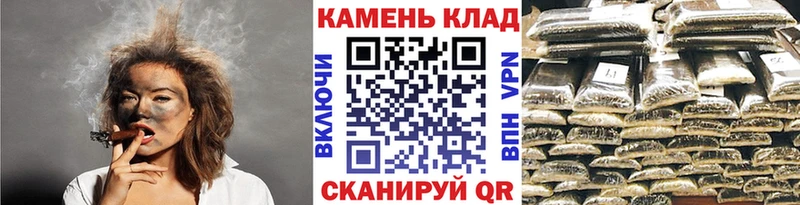 ГАШ VHQ Пестово