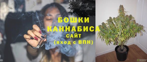 сатива Иннополис