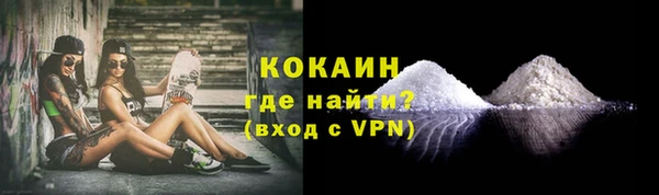 сатива Каменка
