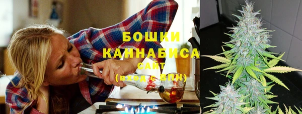 сатива Иннополис