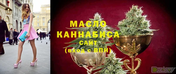 сатива Иннополис