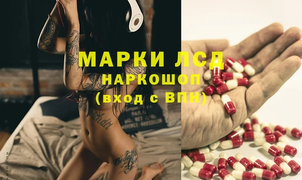 СК Инсар