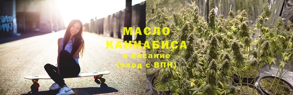 сатива Иннополис